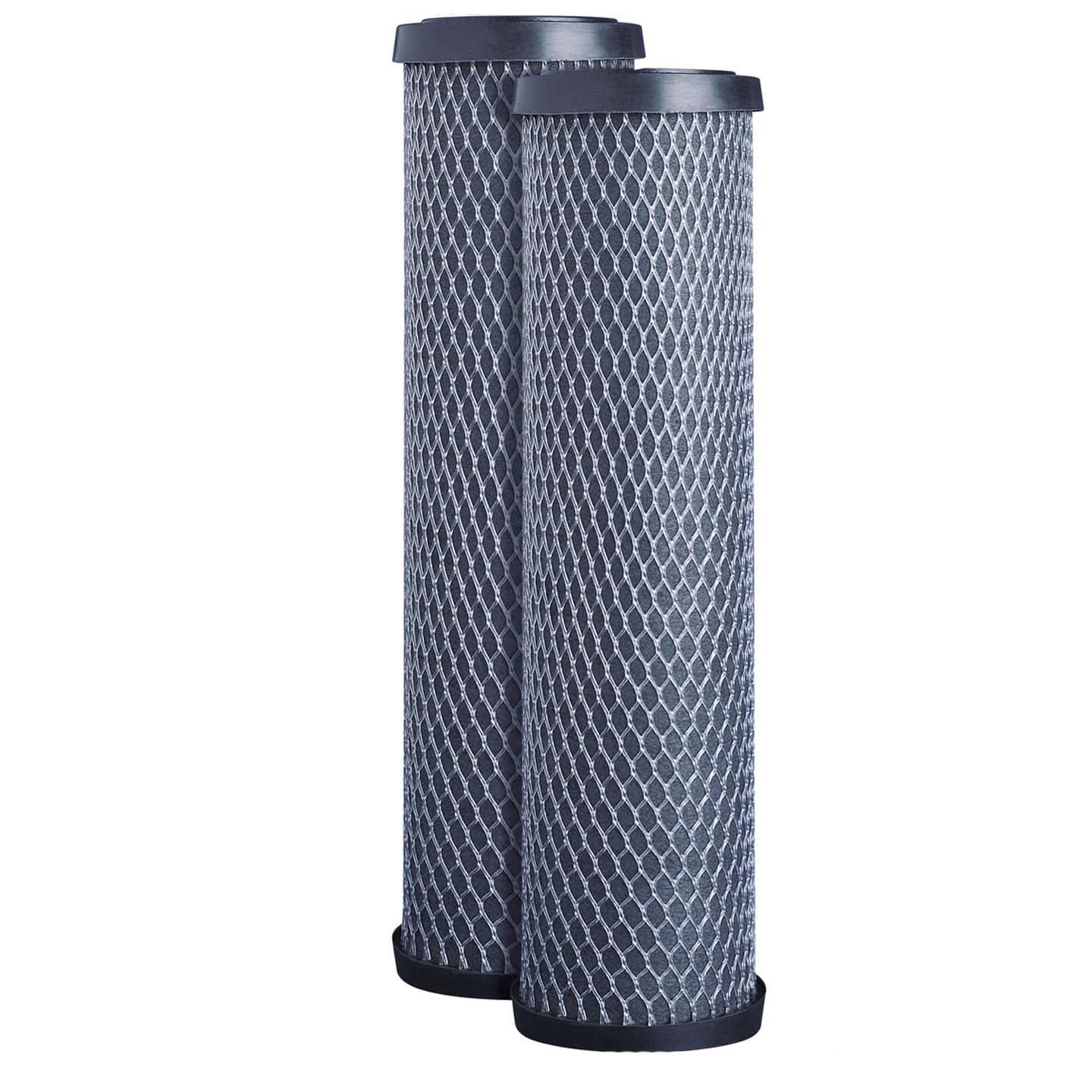 GE FXWTC Carbon Water Filter (2-Pack) - WaterFilters.NET