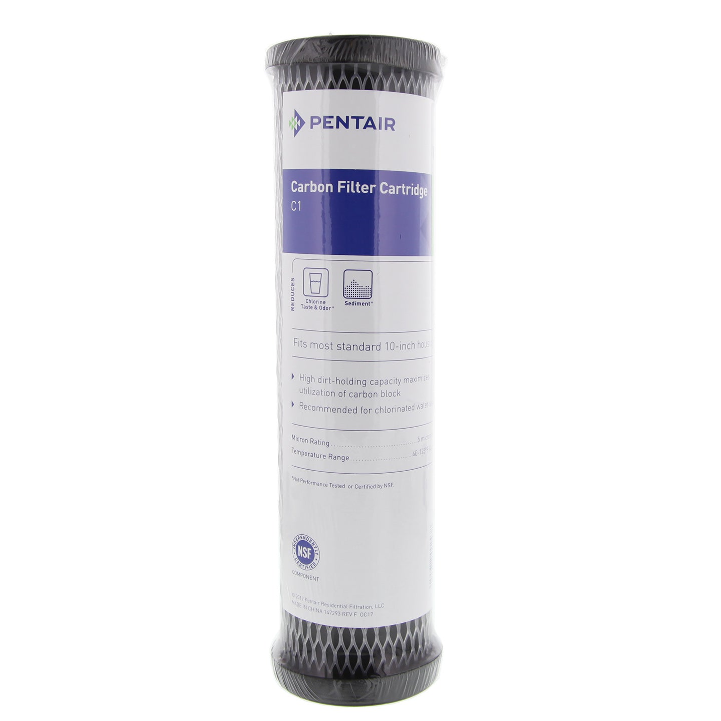 Pentek C-1 Carbon Water Filters (9.75-inch x 2.5-inch)