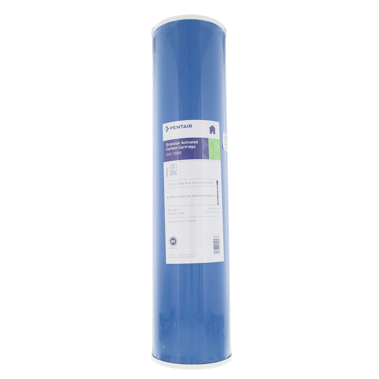 Pentek GAC-20BB Drinking Water Filters (20-inch x 4.5-inch) - WaterFilters.NET