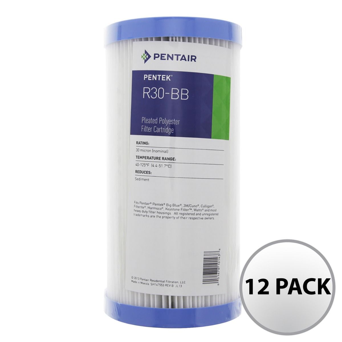 Pentek R30-BB Pleated Polyester Water Filter (9-3/4-inch x 4-1/2-inch)