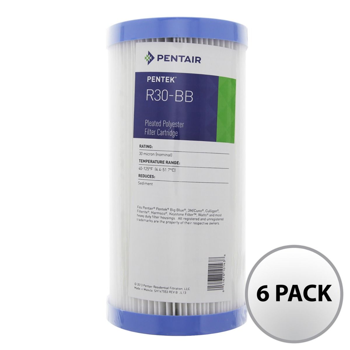 Pentek R30-BB Pleated Polyester Water Filter (9-3/4-inch x 4-1/2-inch)