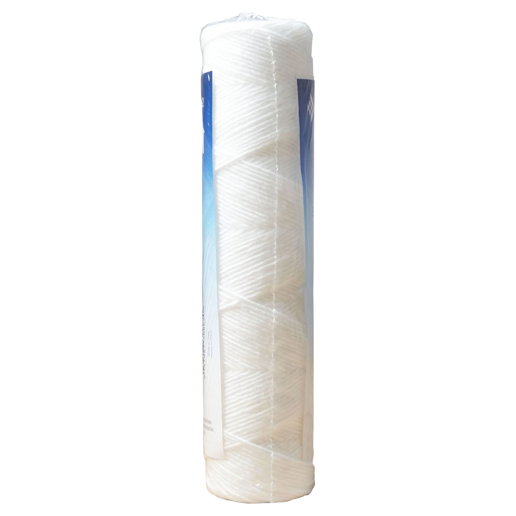 OmniFilter RS2-SS Whole House Filter Replacement Cartridge - WaterFilters.NET