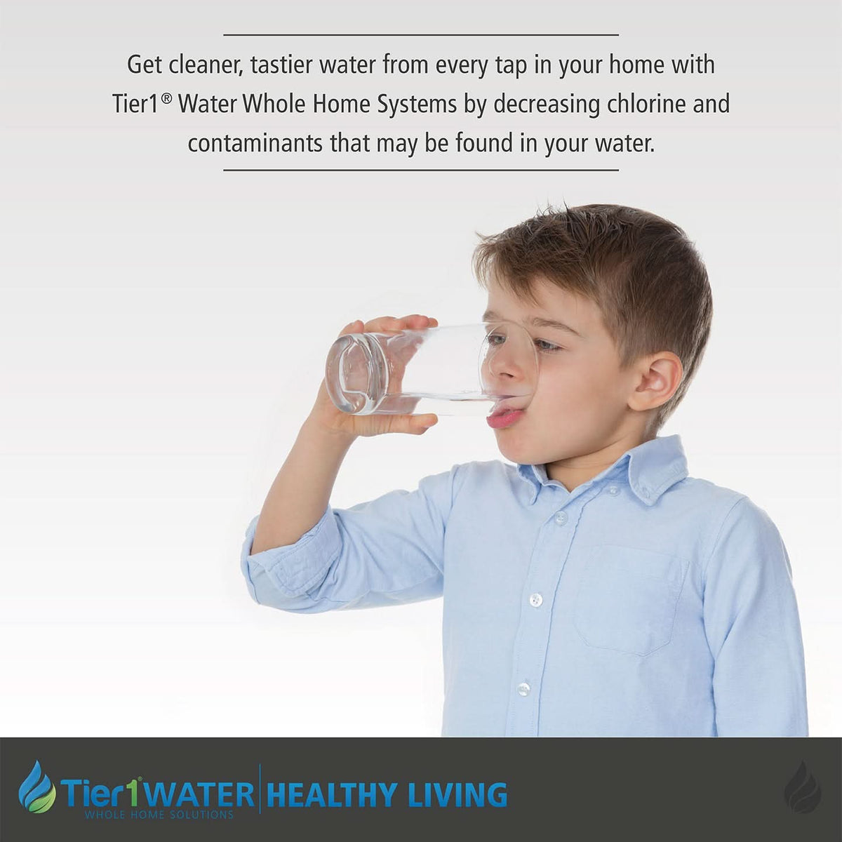 Precision Certified Series Tier1 Whole House Water Neutralizing System - WaterFilters.NET