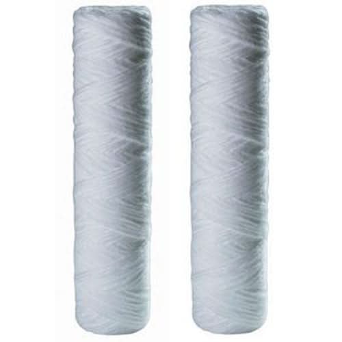 OmniFilter RS2DS Whole House Replacement Filter Cartridge (2-Pack) - WaterFilters.NET