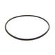 American Plumber, Culligan, Pentek OR-100 O-Ring for Big Blue Housings - WaterFilters.NET