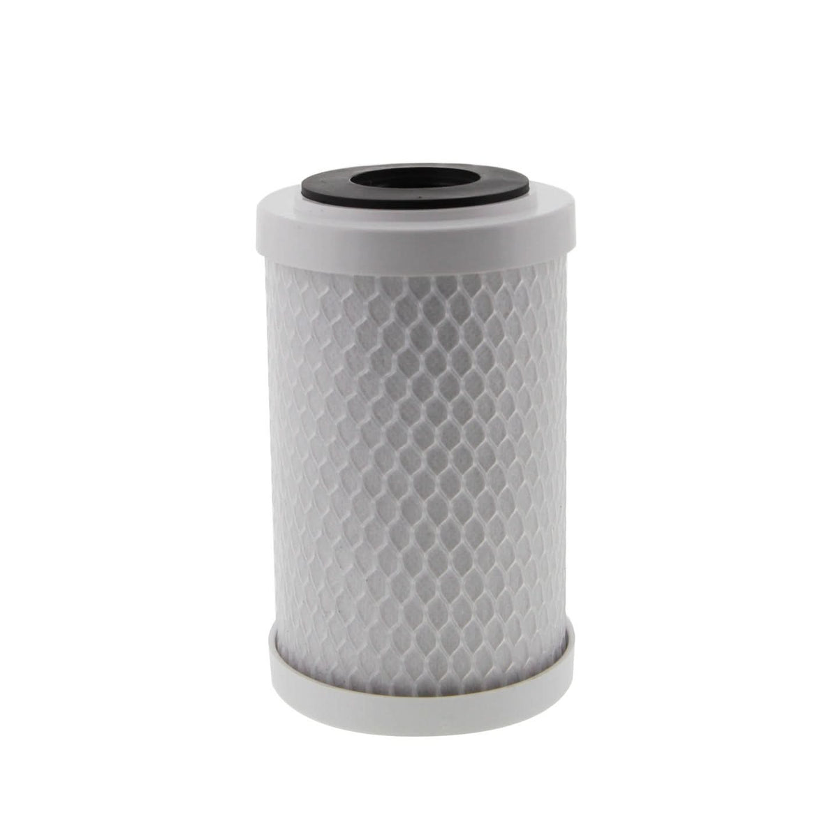 Pentek CBC-5 Cyst Reduction Water Filters (4-7/8-inch x 2-7/8-inch) - WaterFilters.NET