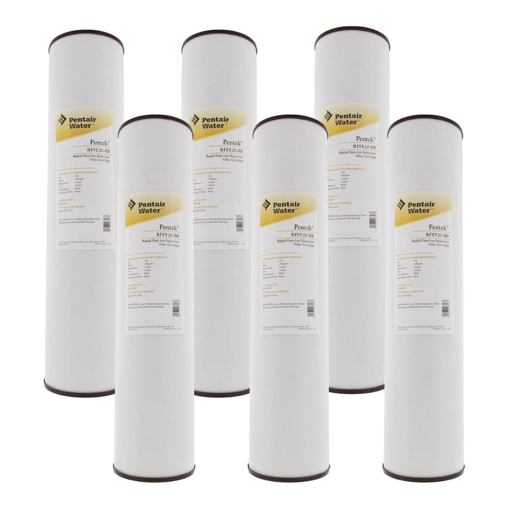 Pentek RFFE20BB Iron Reduction Water Filter (20 in x 4.5 in