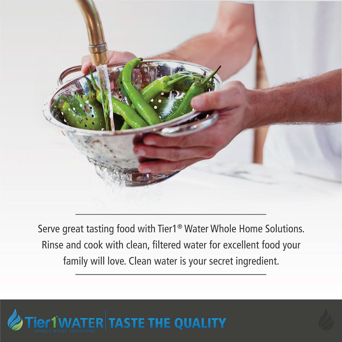 Precision Certified Series Tier1 Whole House Water Neutralizing System for 4 - 6 Bathrooms - WaterFilters.NET