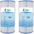 Tier1 Waterway Clearwater 817-0075N Comparable Pool and Spa Filter Replacement - WaterFilters.NET