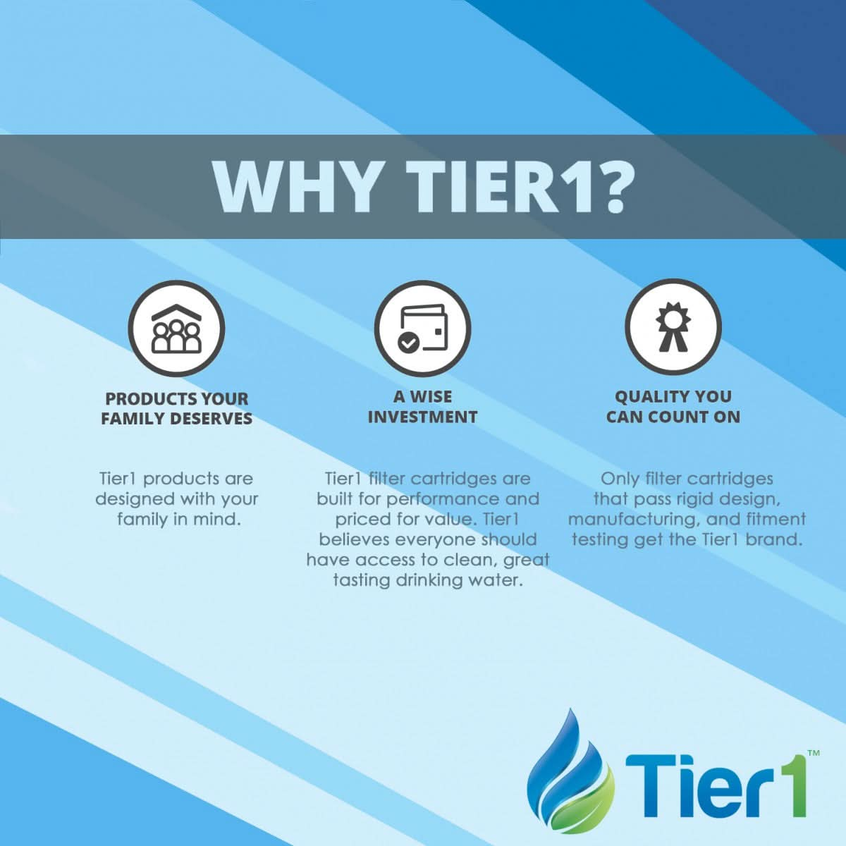 Waterway 817-0050 Pool and Spa Filter Replacement by Tier1 (Why Tier1)