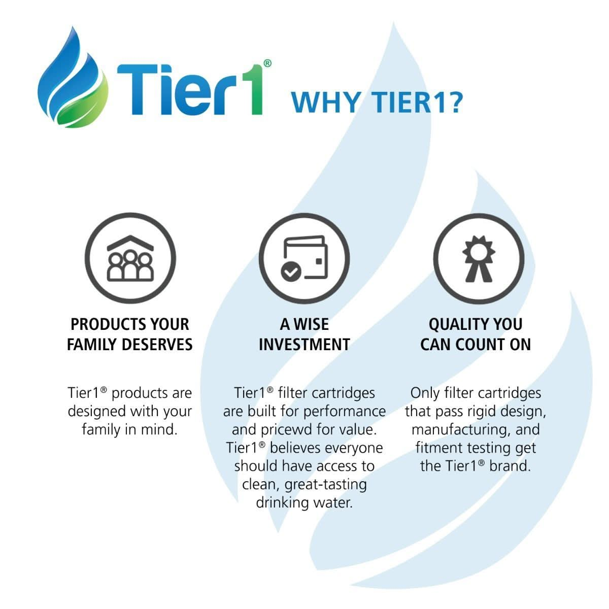 Tier1 Waterway Clearwater 817-0075N Comparable Pool and Spa Filter Replacement